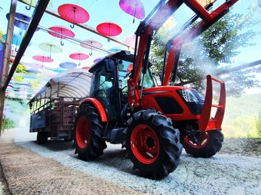 허브 아일랜드 핑크뮬리축제