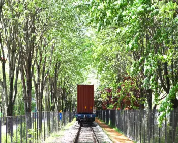 전주 이팝나무 철길_5