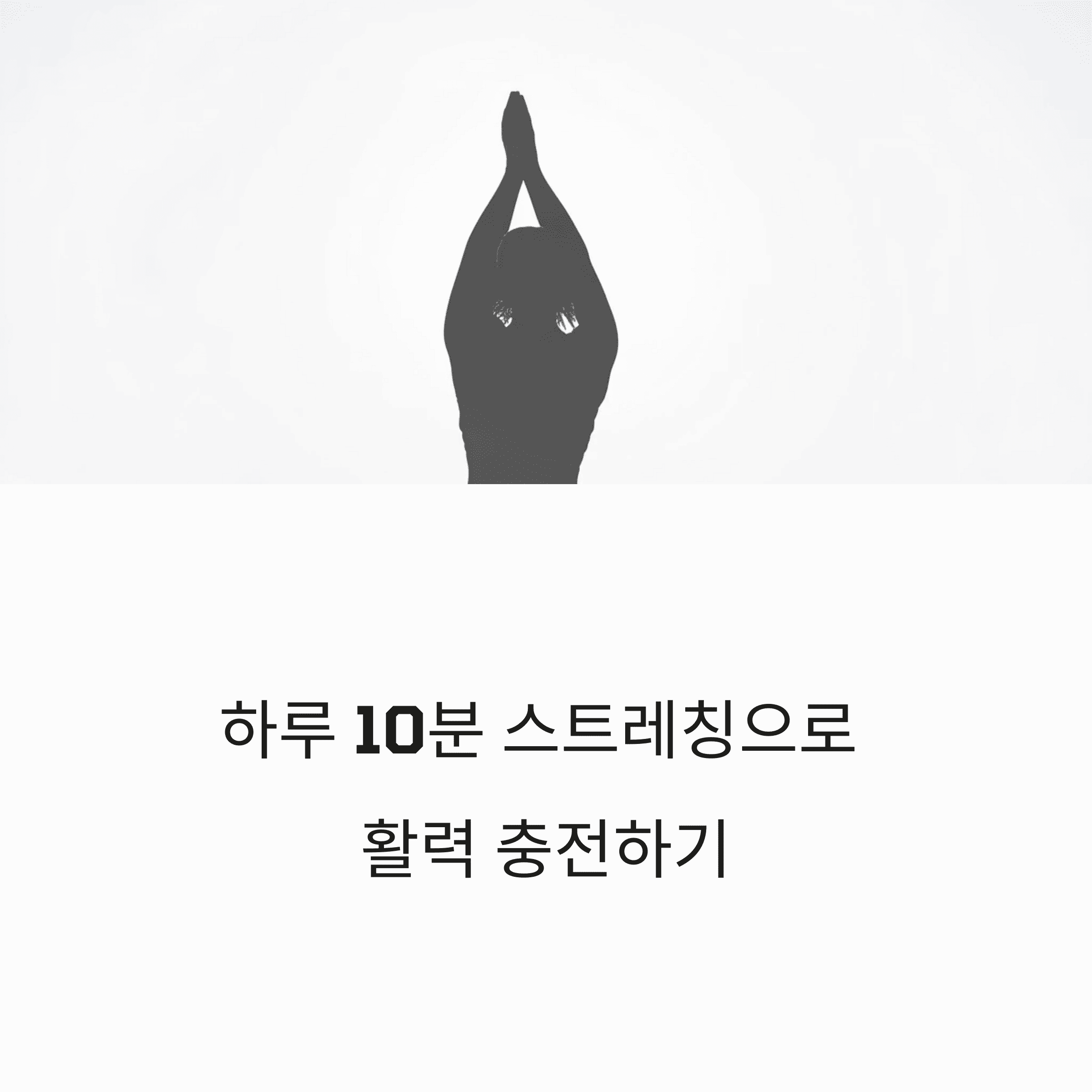 건강 의료