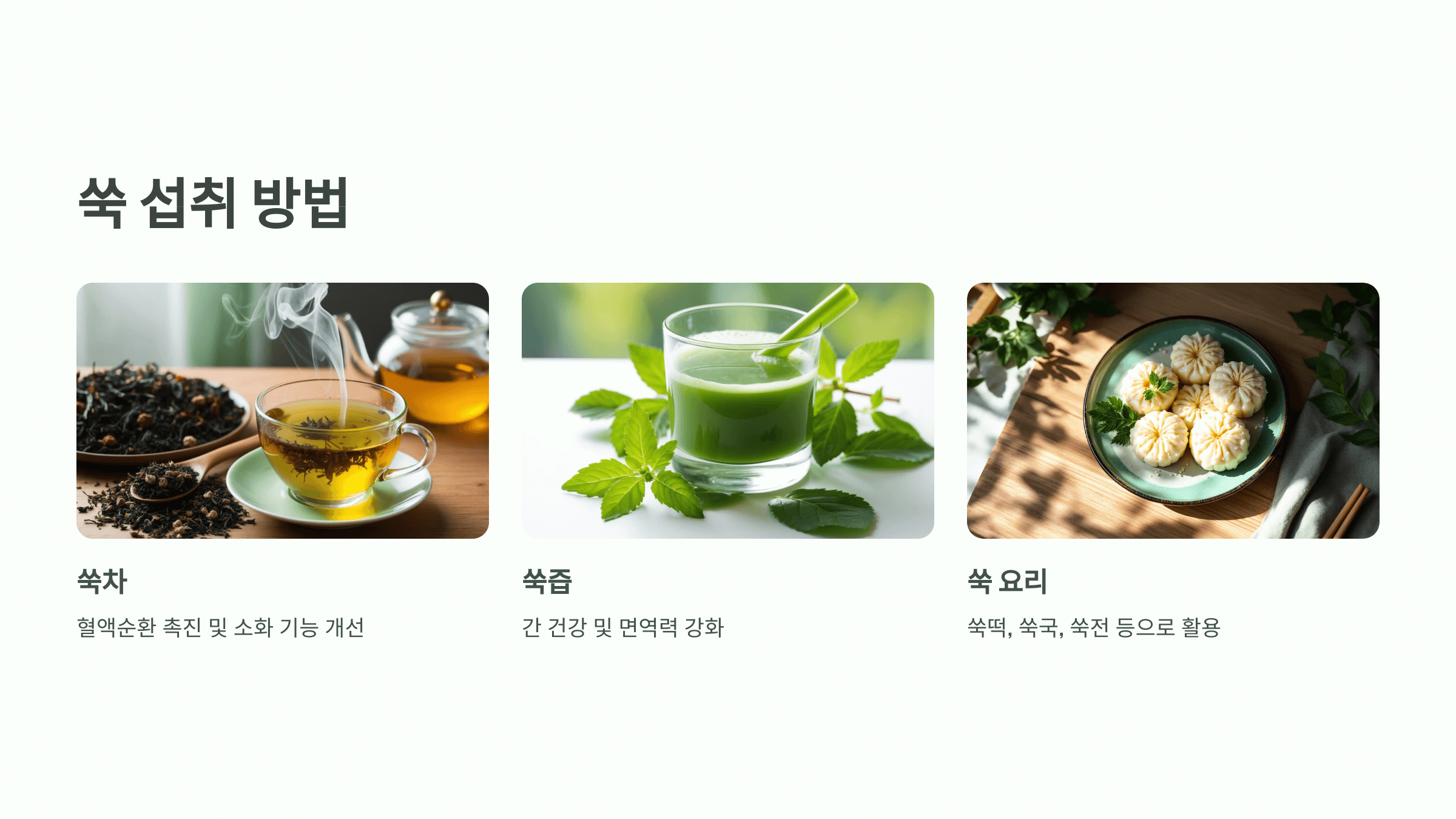 쑥 사진입니다.