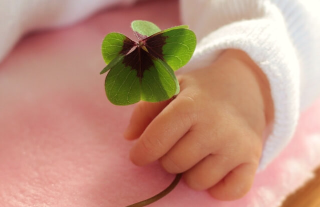 신생아 태아보험