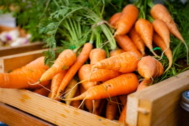 당근마켓 pc버전 다운로드