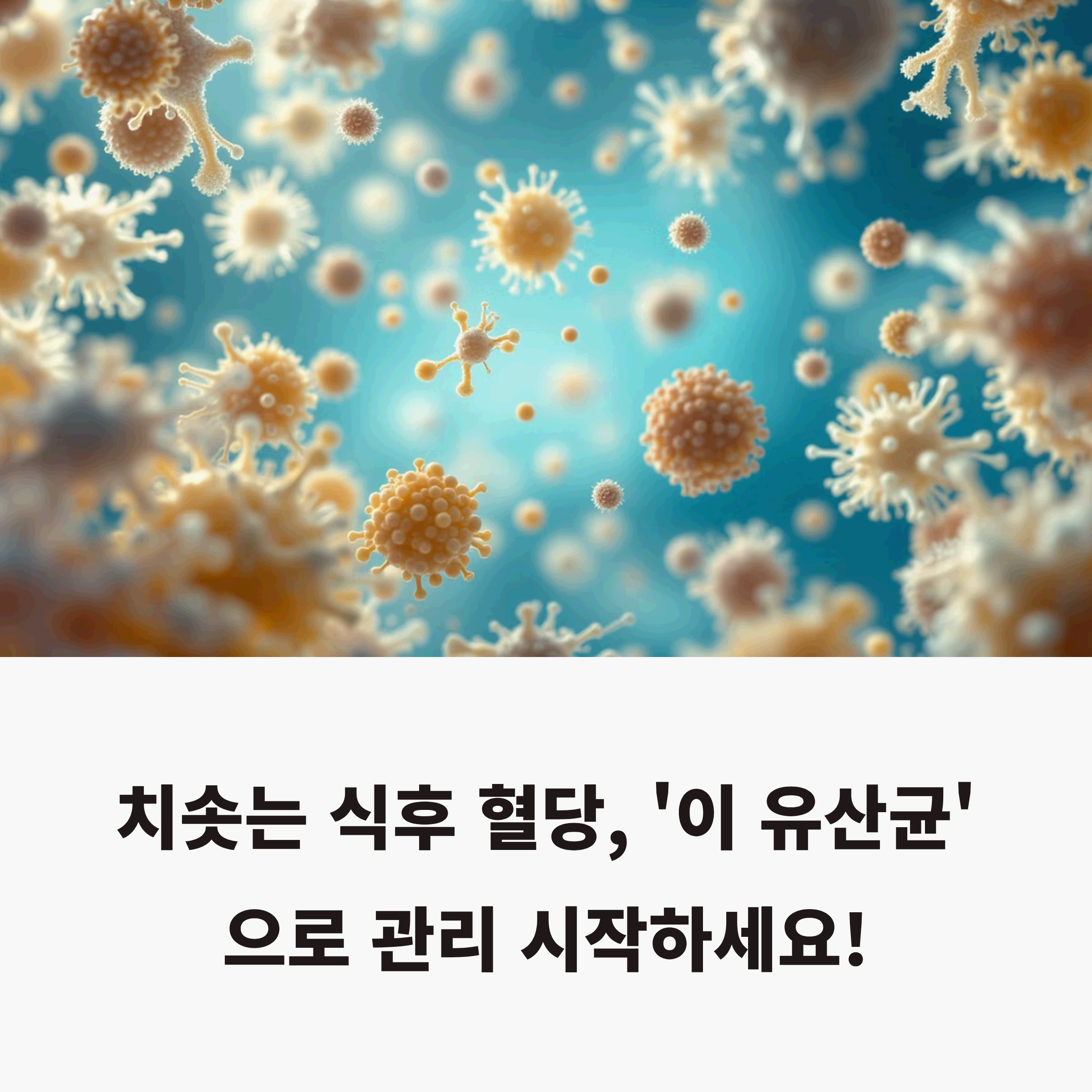 diverse probiotic bacterial strains