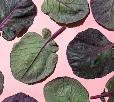 난청에 좋은 음식 영양제 식단