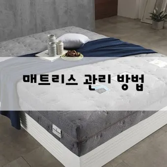 매트리스 관리 청소기 베이킹소다 회전주기 방수커버 팁_15