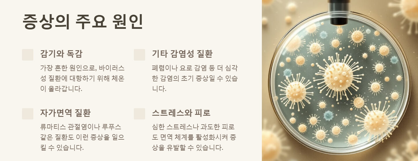 몸이 으슬으슬 춥고 미열일때