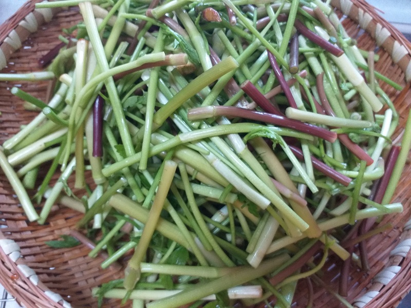 미나리요리, 미나리물김치