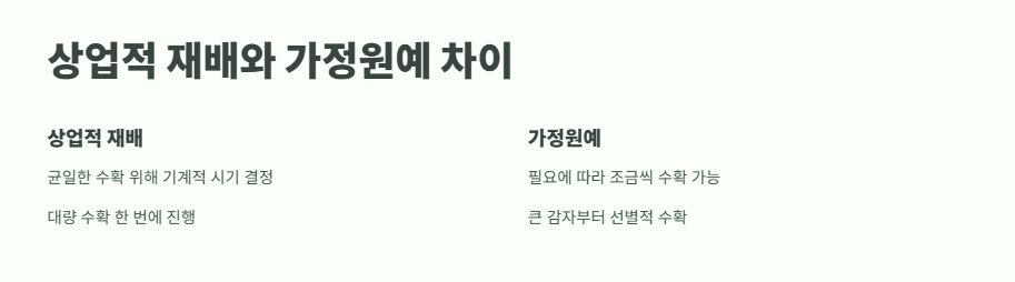 감자 수확시기 타이밍과 방법 14