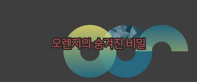 오렌지 효능 부작용 섭취방법 알아볼게요