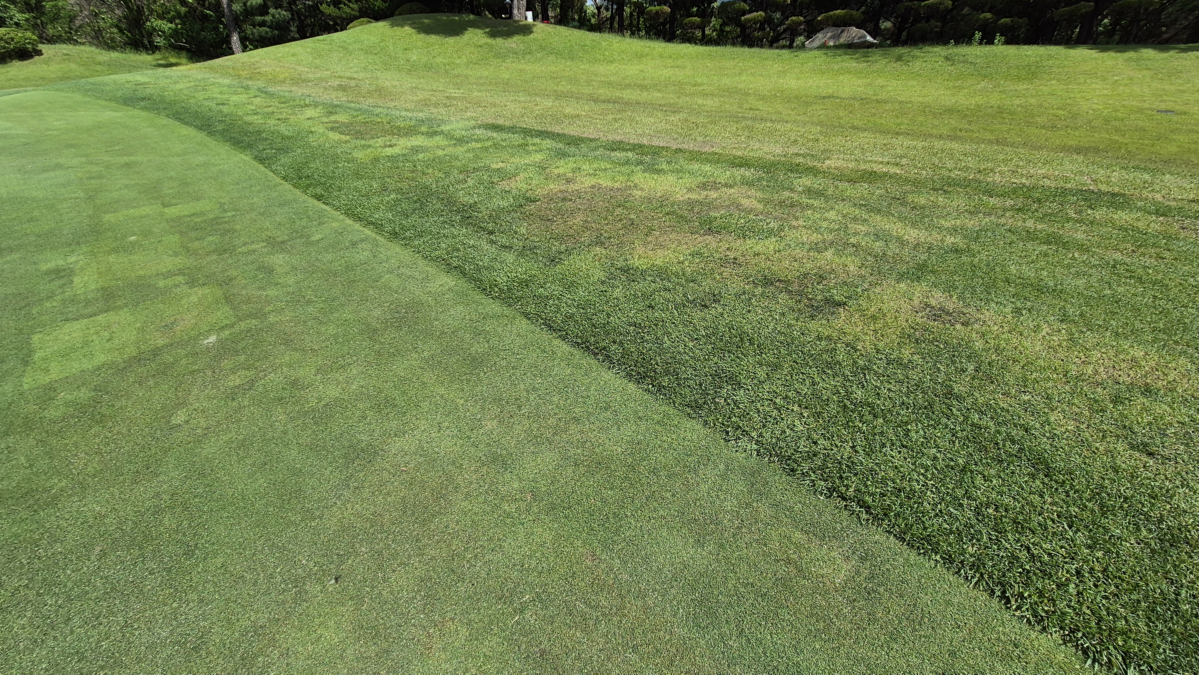 파크밸리gc 라운드 후기