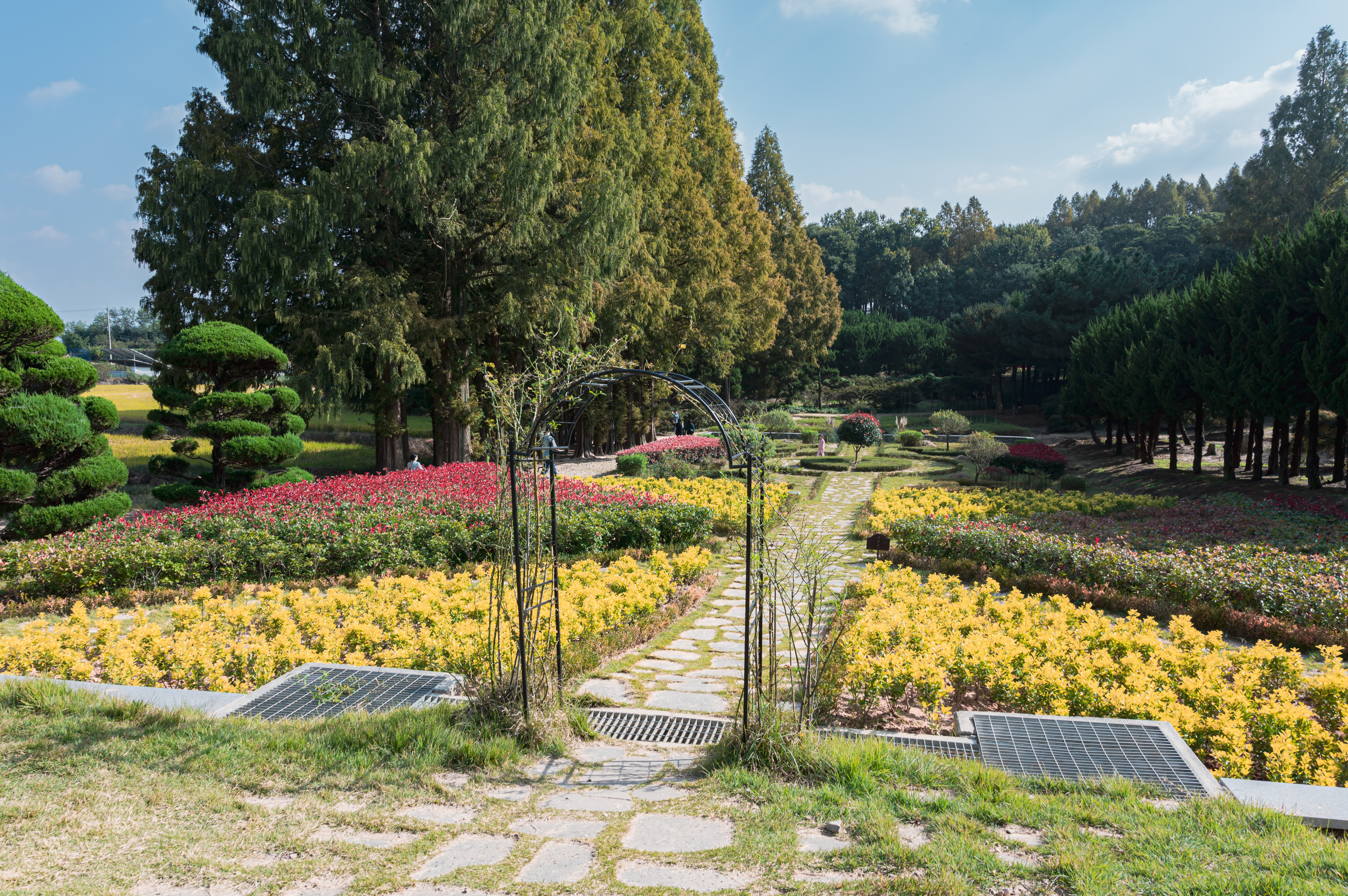 ์๊ฐํ ์ ์