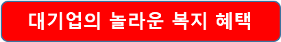 대기업의 복지 혜택