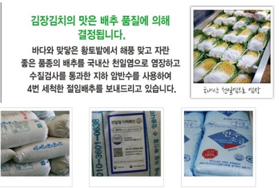 위생철저한배추