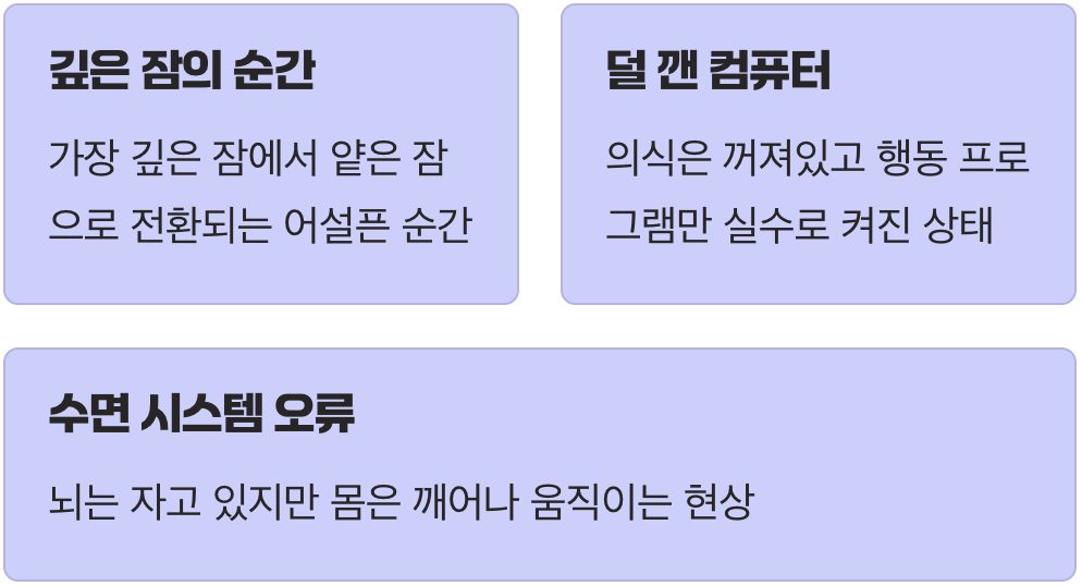 뇌는 자고 몸은 깨어나는 시간