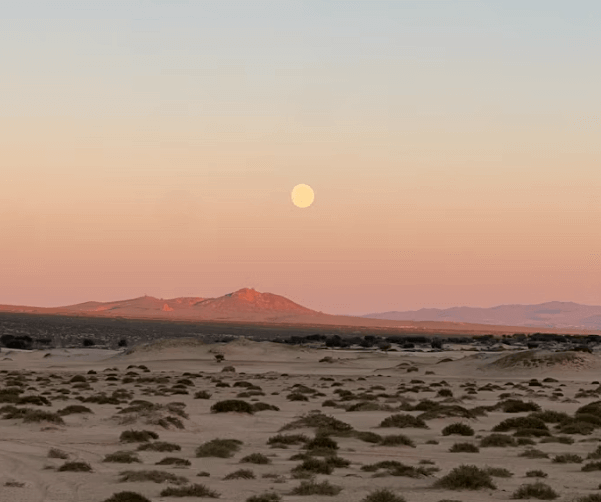 몽골 고비 사막 투어: 인생샷 코스 &amp;숨겨진 명소