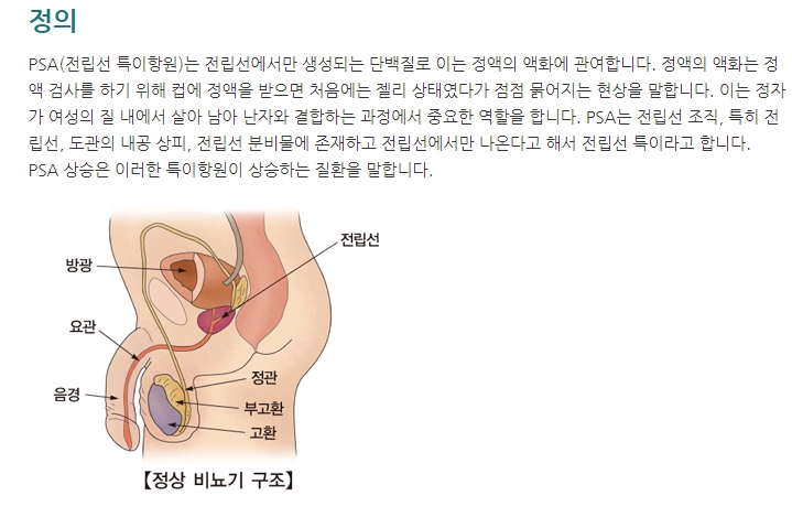 PSA(전립선 특이항원)의 의미 설명