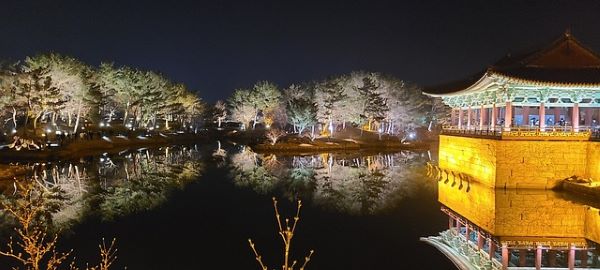 동궁고 월지 야경