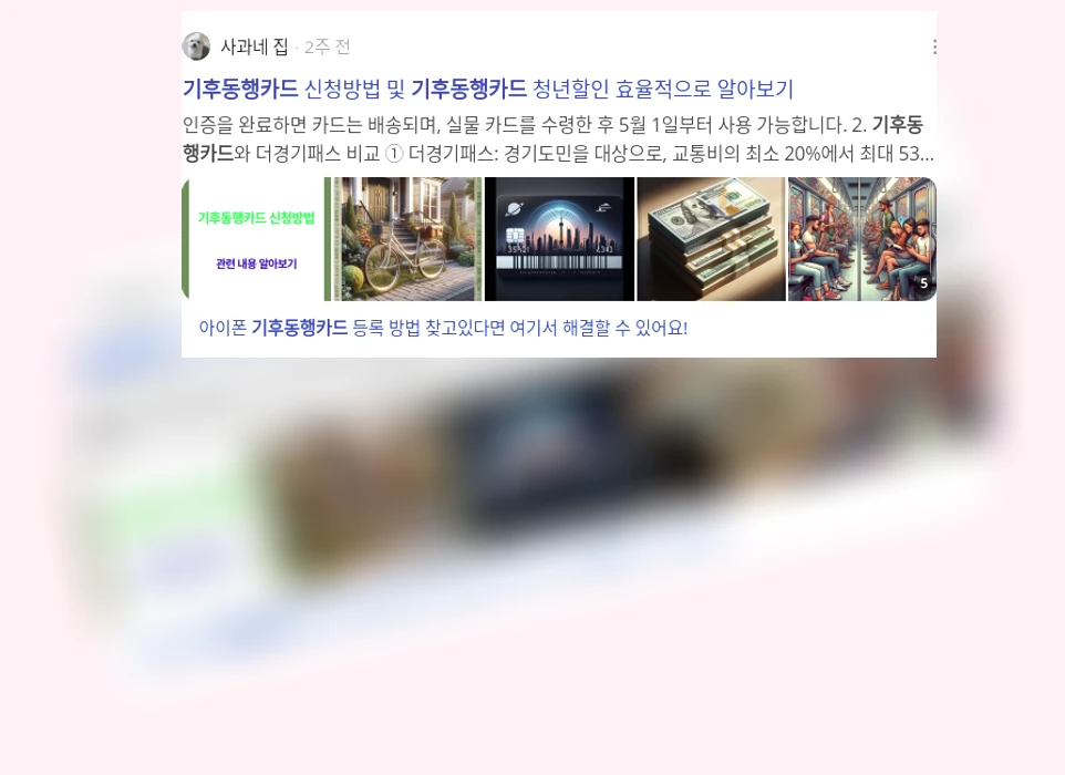 기후동행카드_3_subsection