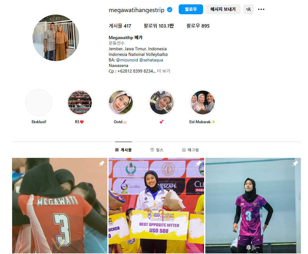 메가왓티 퍼티위