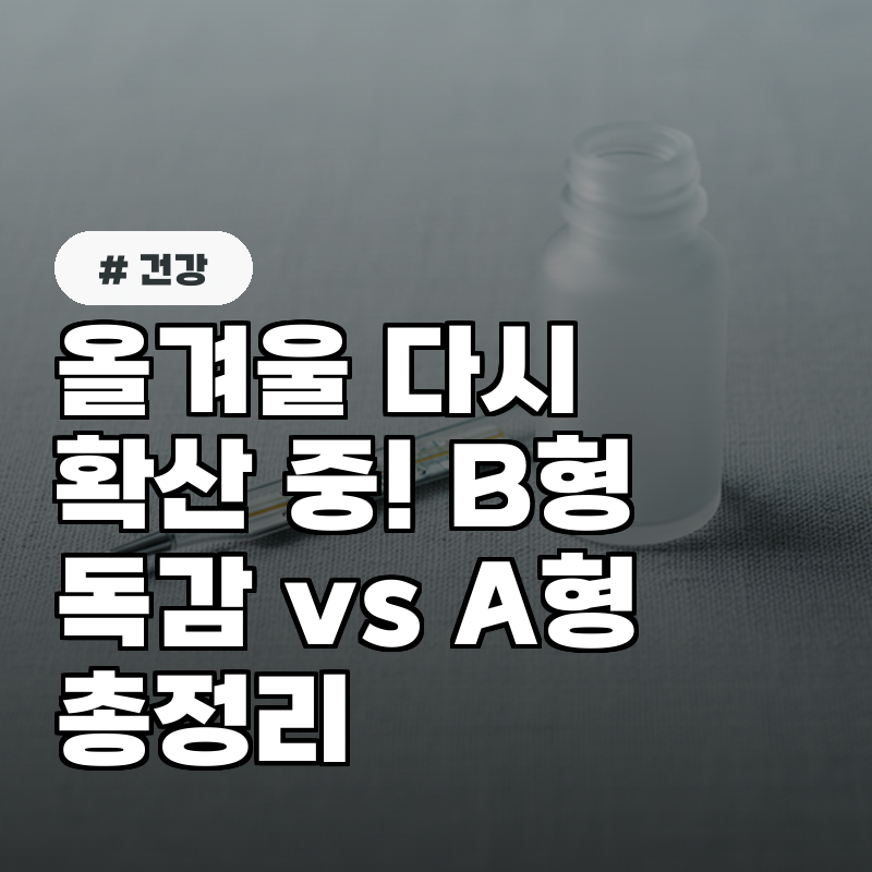 올겨울 다시 확산 중! B형 독감 vs A형 차이부터 증상·예방법까지 총정리