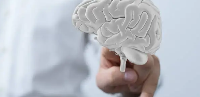 직접경험과 창의적 탐색의 가치