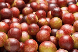 카무카무 효능06