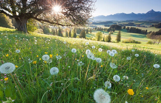 국립공원 실시간 cctv 모바일