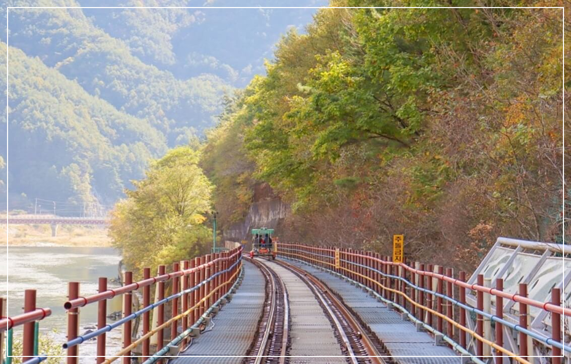 정선 가볼만한곳 베스트10 정선 레일바이크