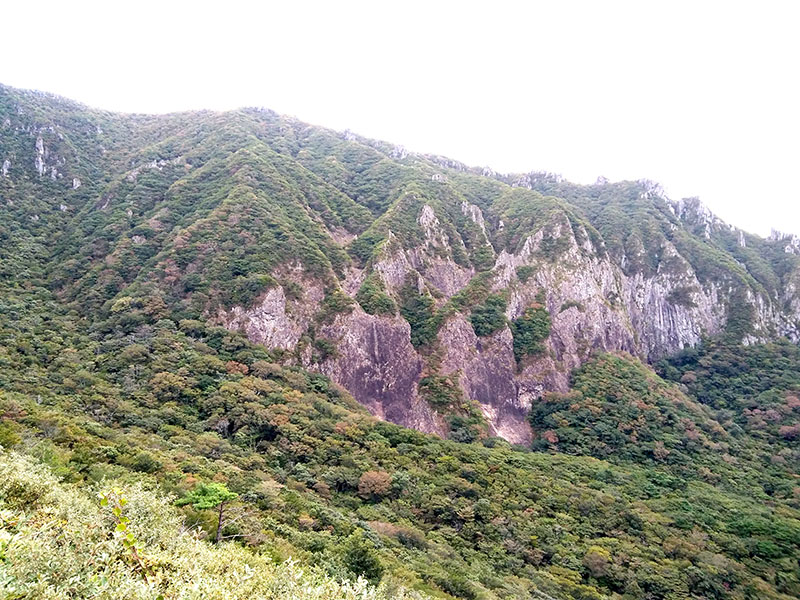 한라산 영실코스