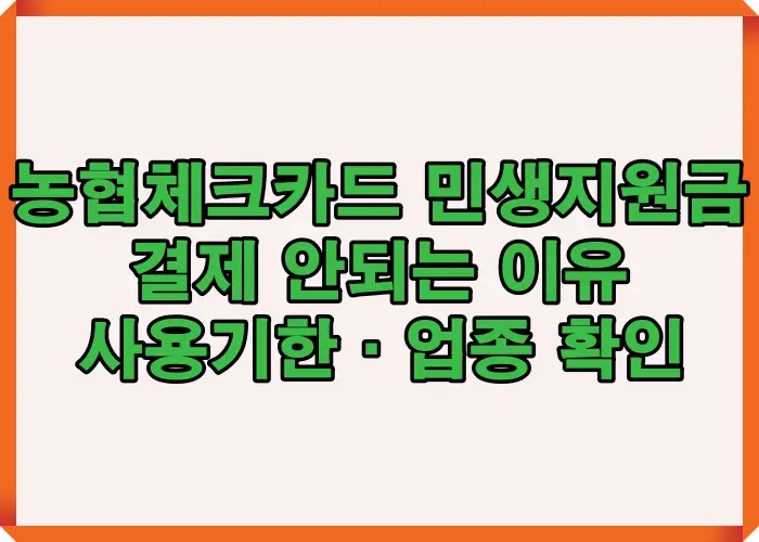 농협 체크카드 민생지원금 결제가 안 되는 주요 원인과 사용 기준을 한눈에 정리해 혼동을 줄이기 위한 핵심 요약 이미지
