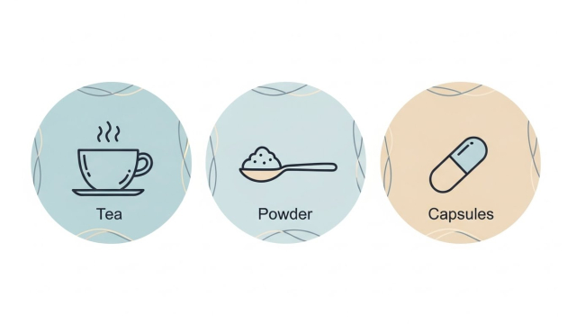 차가버섯 제품 형태별 특징