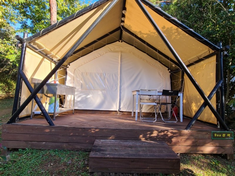 장흥 하늘빛수목정원 튤립축제