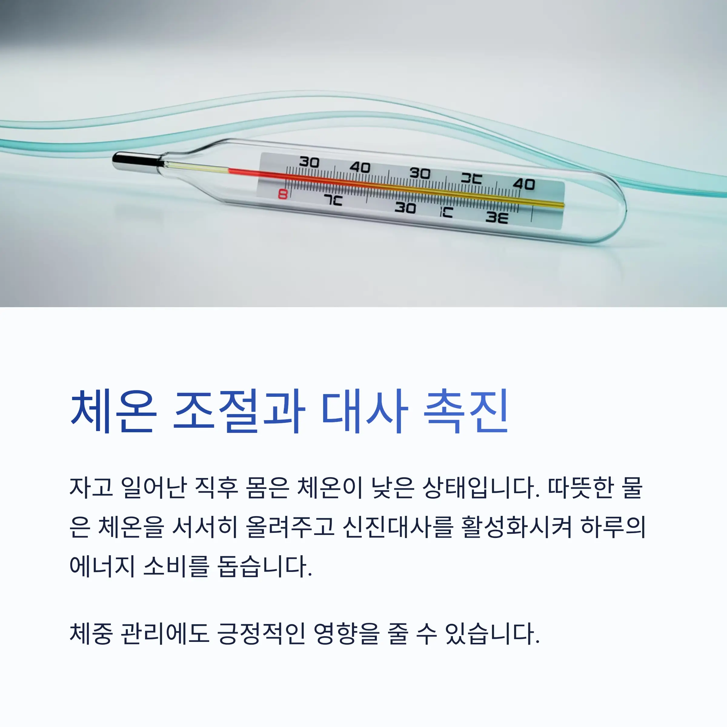 체온 조절과 대사 촉진