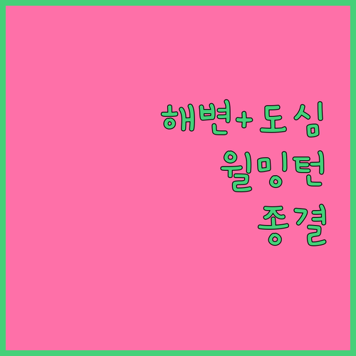 해변과 도심을 모두 잡은 윌밍턴 메이..