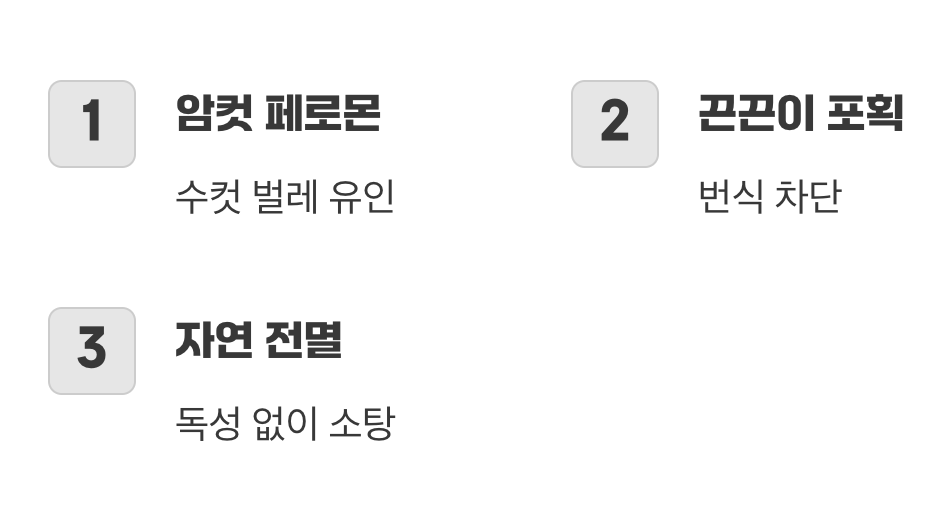 최후의 소탕 작전&amp;#44; 페로몬 트랩