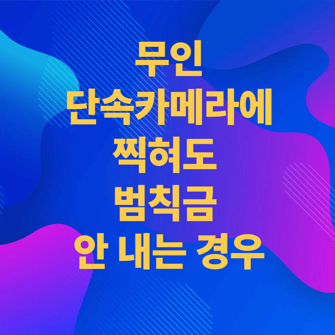 무인단속카메라에 찍혀도 범칙금 안 내는 경우