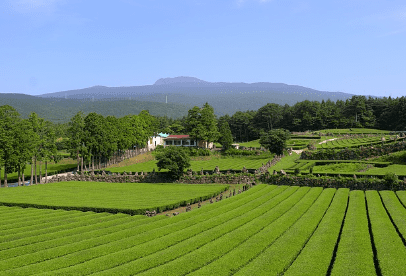 제주도 가볼만한곳 10곳