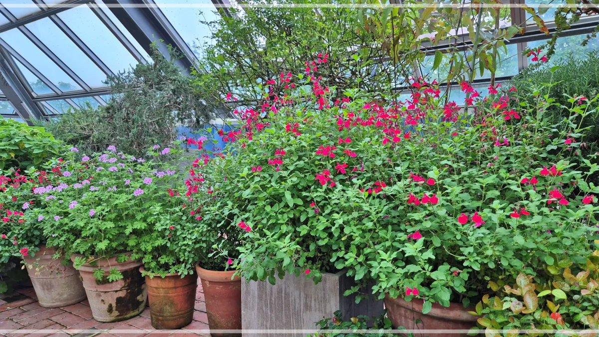 허브공원-허브가-담긴-화분들