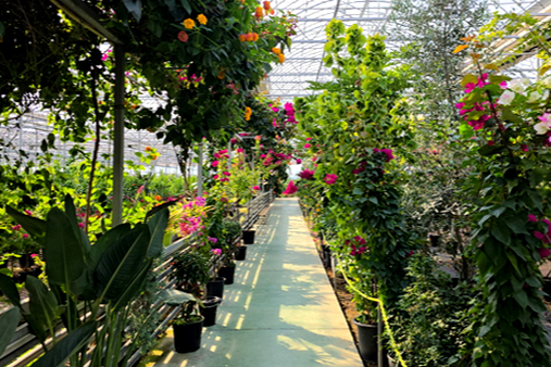 특색있고 아름다운 민간 정원 30선 추천 여행 - 25. 통영 동백커피식물원