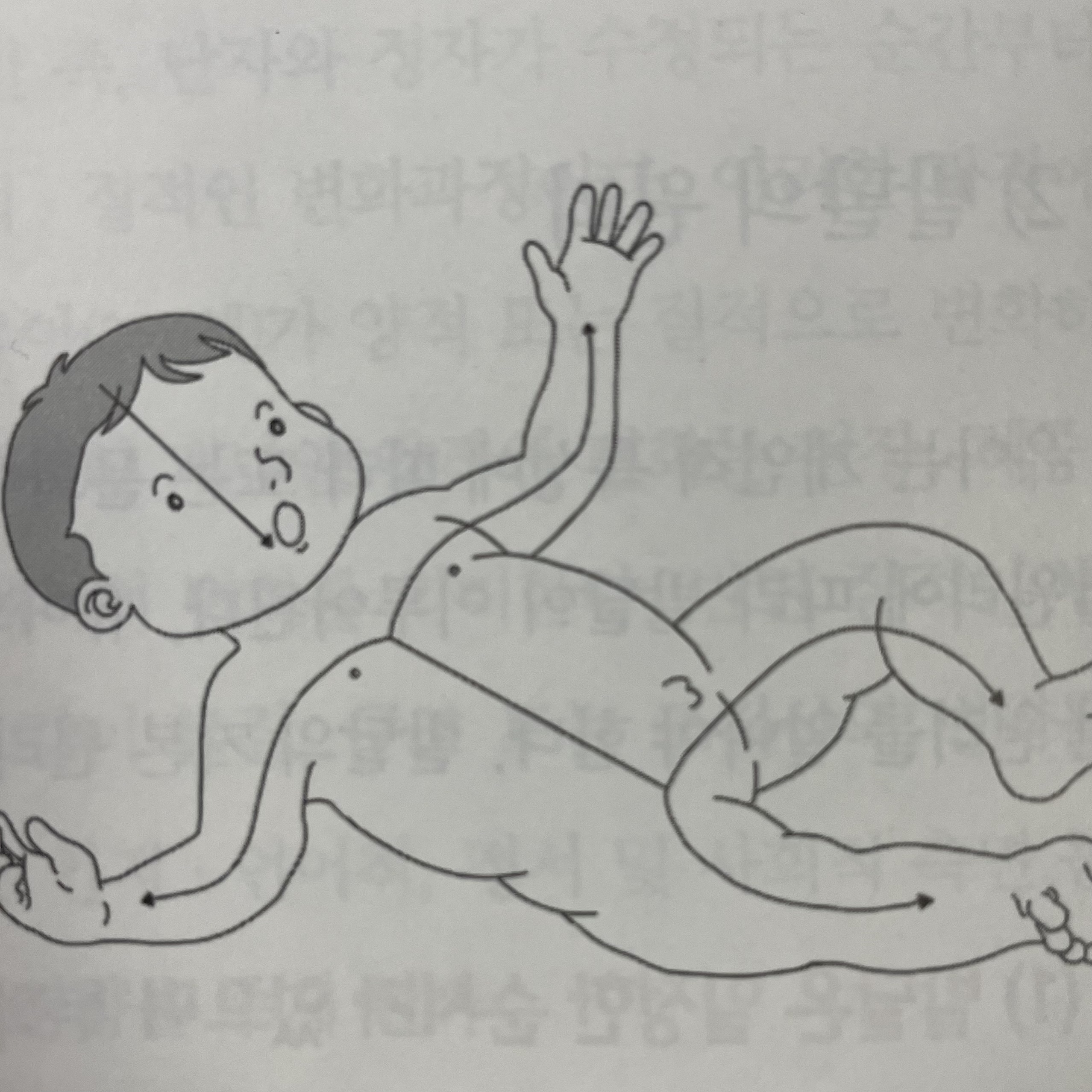 신체발달의 방향성