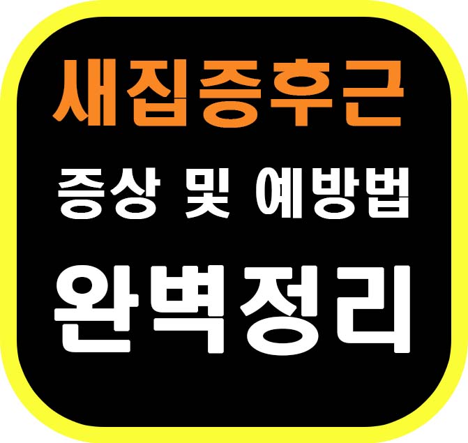 새집증후군 증상 및 예방법 완벽 정리