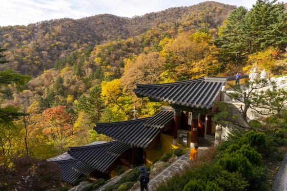 오대산 등산코스