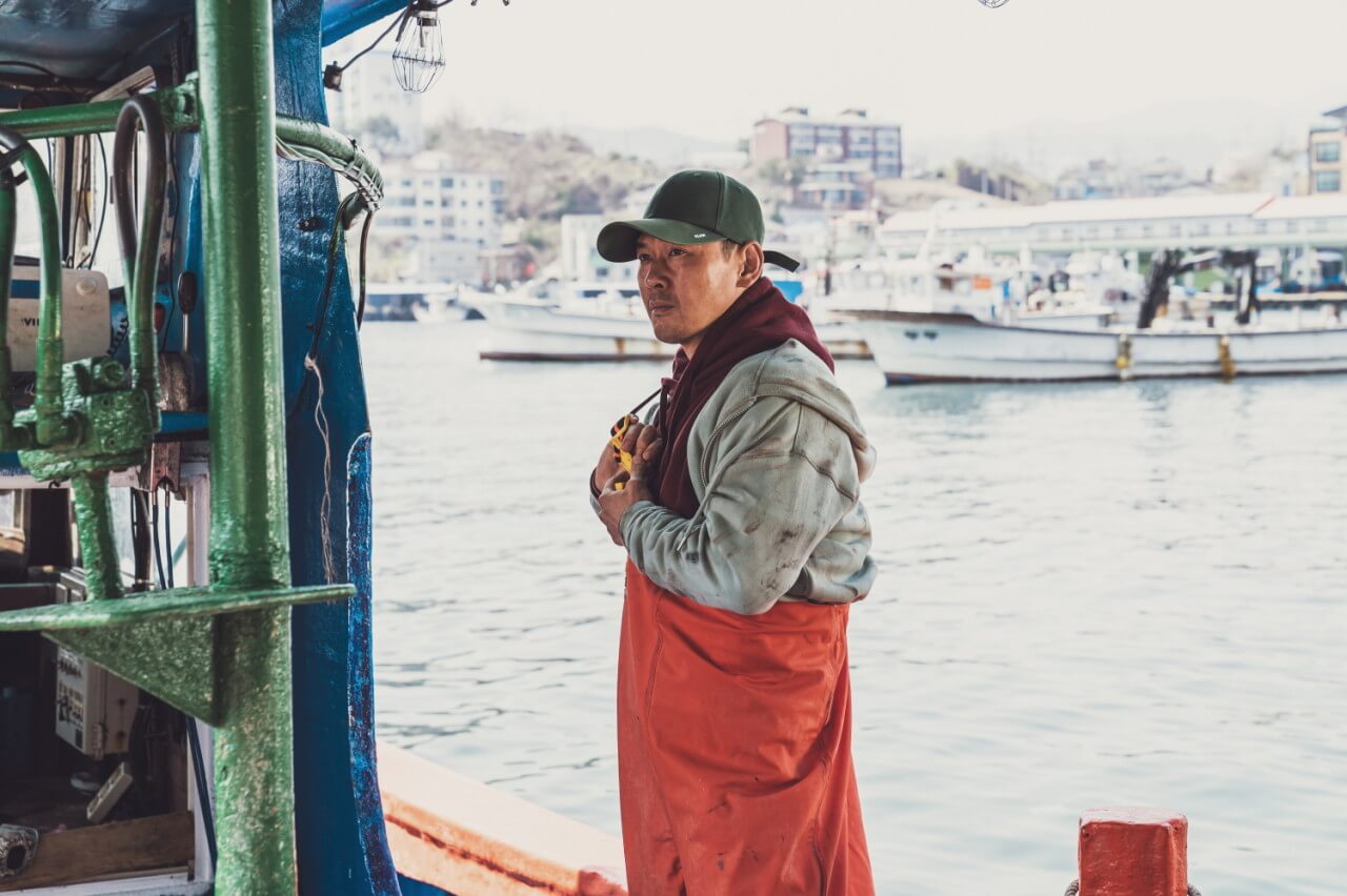 영화 아침바다 갈매기는