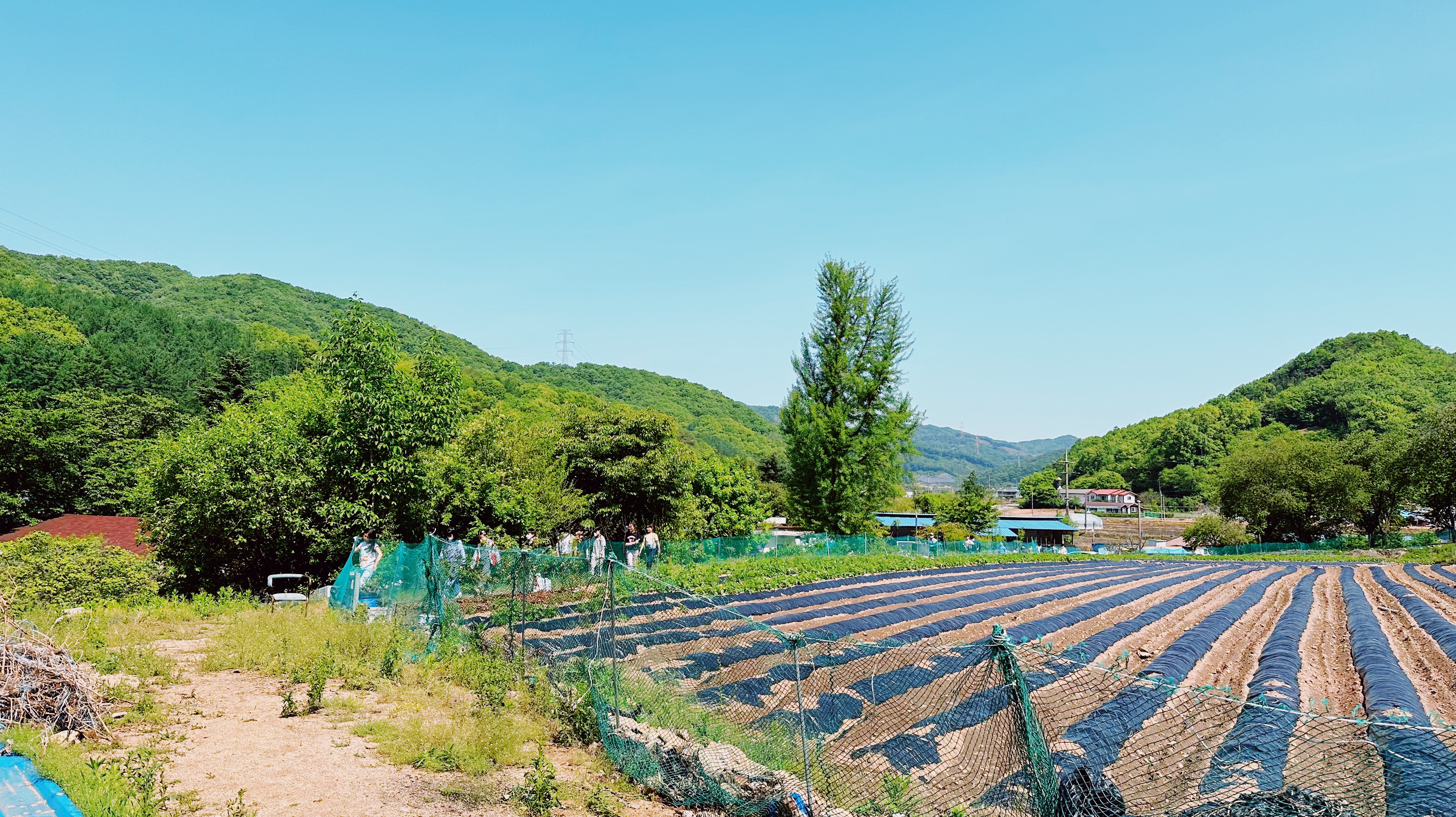 문강도예학습원