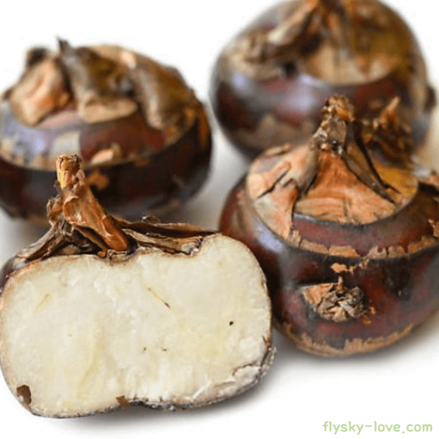 마름 열매 고르는 법