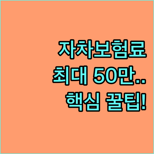 자차보험료 아끼는 자기부담금 선택 최..
