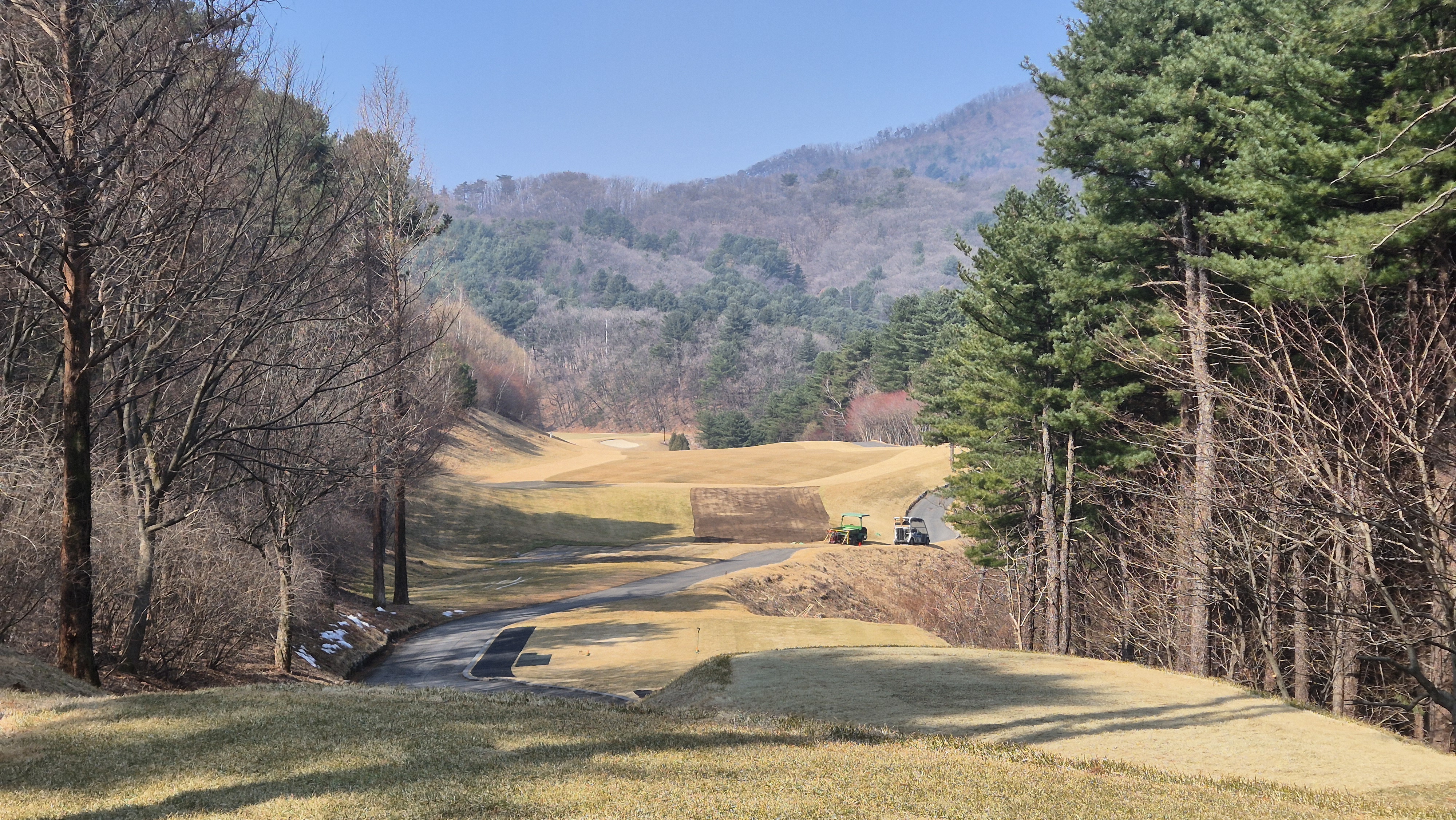 아난티코드gc 잣나무-느티나무 코스 사진 및 공략 정보
