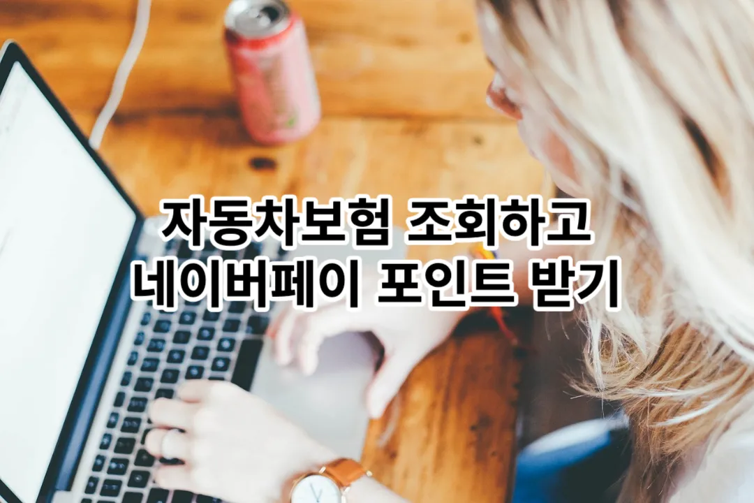 네이버페이 자동차보험