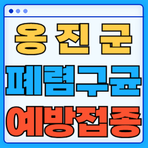 인천 옹진군 폐렴구균 백신 무료 예방접종 비용지원 가격 신청방법 대상자 간격 13가 15가 20가 23가