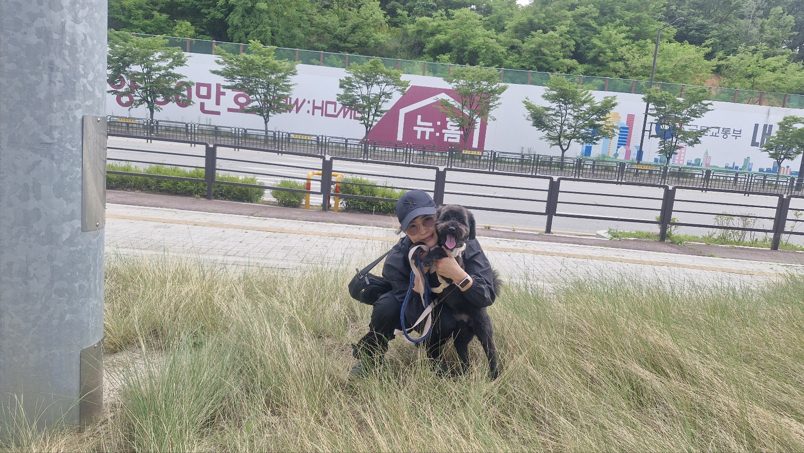 강아지가 앞발로 톡톡 건드리는 이유 7가지 (심리 해석 포함)